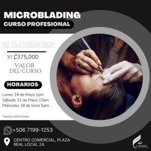 CURSO MICROBLADING